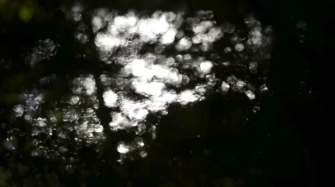 Water reflections of nature Stock Footage 40789087