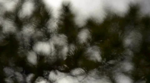 Water reflections of nature Stock Footage 40789133