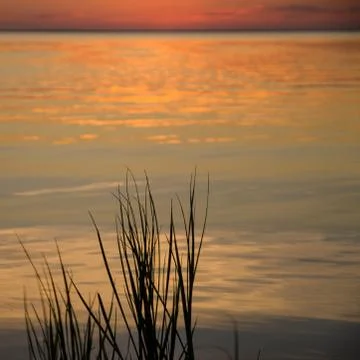 Water reflections Stock Photos