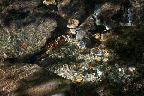 Water Reflections Stock Photos