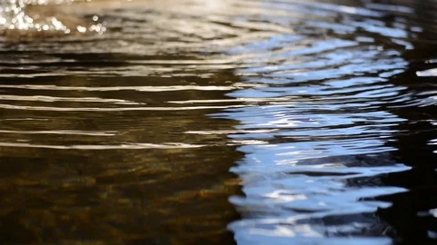 Water Reflections on Pool Stock Footage 103800736
