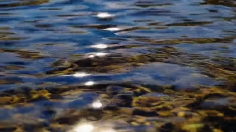 Water Reflections — Sunlight on Surface Stock Footage 312230202