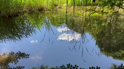 The water reflects the blue sky and white clouds and trees Stock Footage 232014446