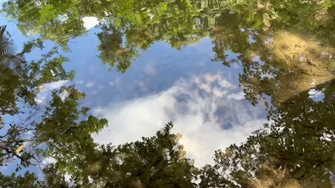 The water reflects the blue sky and white clouds and trees Stock Footage 232015103