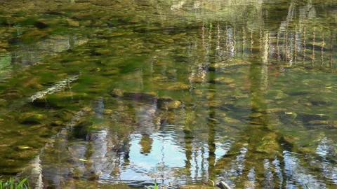 Water reflexion Stock Footage 150126494