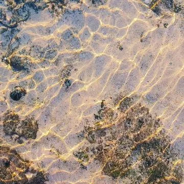Water-refraction-light-rays-on-sandy-ocean-floor Stock Photos