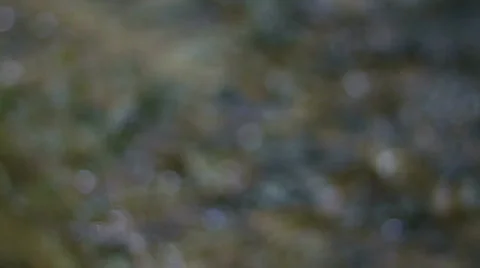 Water Refractions Video stock 841190