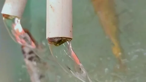 Water relaxation Stock Footage 218291848