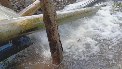 Water released from large pipe irrigation to be applied to rice fields Stock Footage 320487167