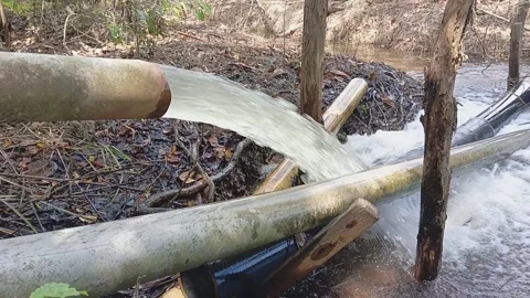 Water released from large pipe irrigation to be applied to rice fields Stock Footage 320487215