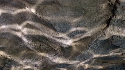 Water ripple caustic light reflections on stone wall Stock Footage 74292001