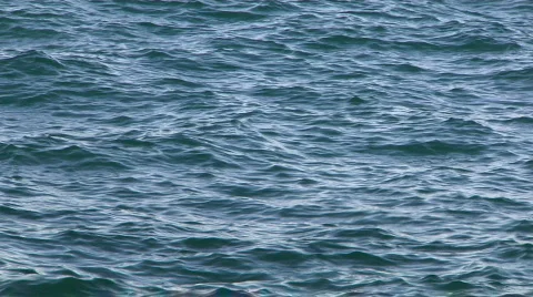 Water Ripple Stock Footage