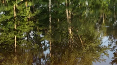 Water Ripple Stock Footage 8838160