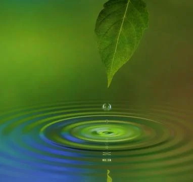 Water ripple Stock Illustration