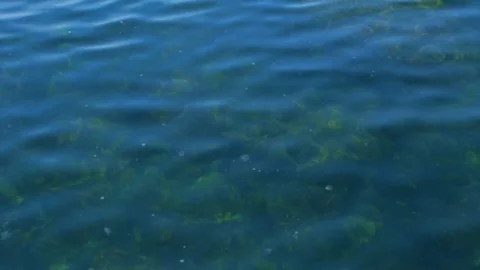 Water Ripple Ocean Background Stock Footage 73604961