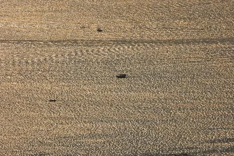 A Water ripple wave patterns with reflections Foto stock