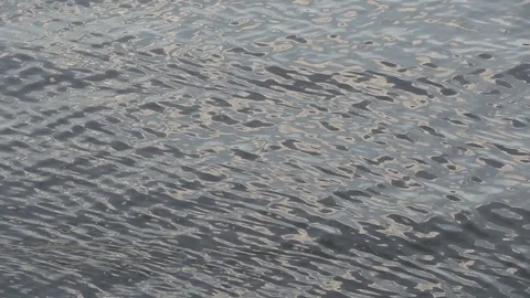Water ripples 2 Stock-Footage 97405539