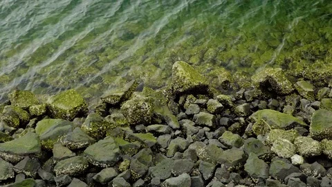 Water ripples against moss covered rocks in Seattle Stock Footage 73498242