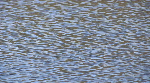 Water Ripples Background Stock Footage 49438592
