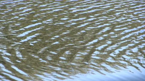 Water Ripples Background Stock Footage 49438821