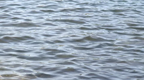 Water Ripples Background Stock Footage 49611982