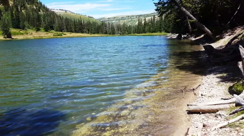 Water ripples on beautiful pine tree-lined Cove Lake in high mountains o-131011. Stock Footage 53283438