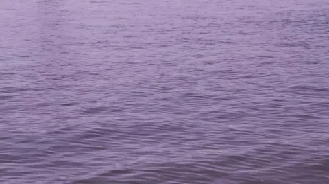 Water ripples calm Stock Footage 48897259