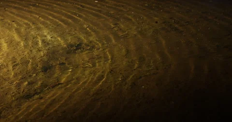 Water ripples in dark tone Video stock 335477154