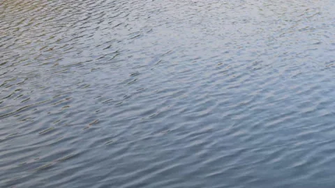 Water ripples during fall evening Stock Footage 140944778