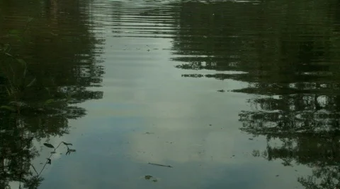 Water Ripples Stock Footage 356401