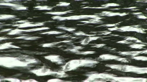 Water Ripples Stock Footage 380736