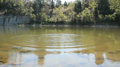 Water ripples 動画素材 11858476