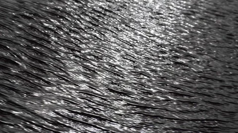 Water Ripples Stock Footage 40950519