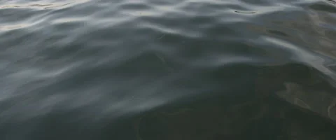 Water Ripples Stock Footage 68737910