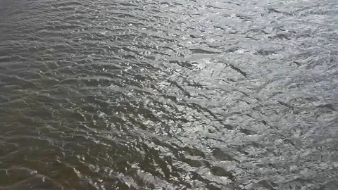Water ripples Stock Footage 105095177