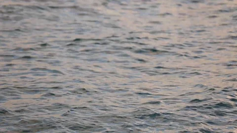 Water Ripples Stock Footage 127518606