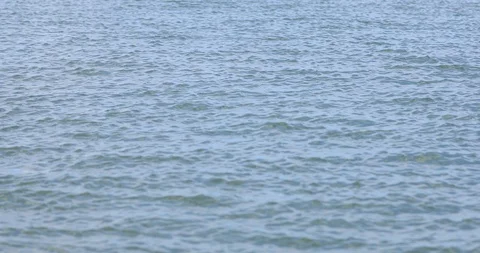 Water Ripples Stock Footage 128384506