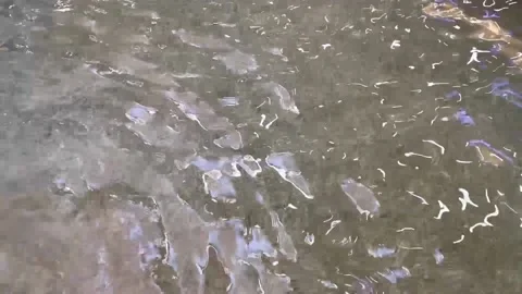 Water Ripples Stock Footage 146380798