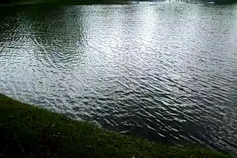 Water ripples Stock Footage 291904285