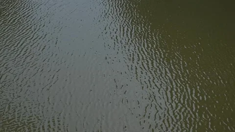 Water ripples form and shift across the surface, reflecting light in various Vidéo 344527405