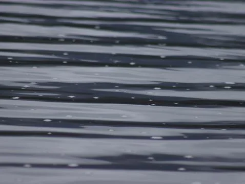 Water Ripples Stock Photos