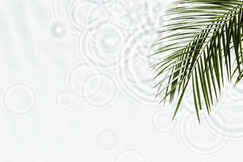 Water ripples Stock Photos
