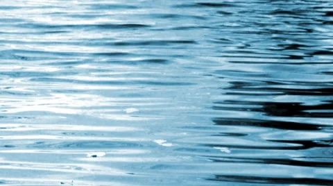 Water ripples in a pond. Stock Footage