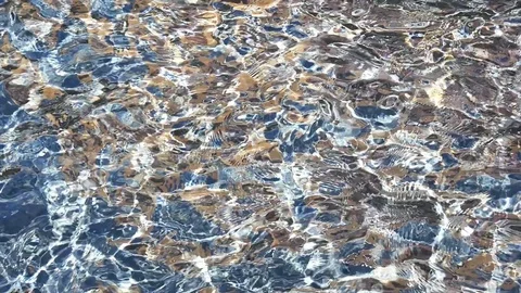 Water ripples in a pond. 動画素材 77859367
