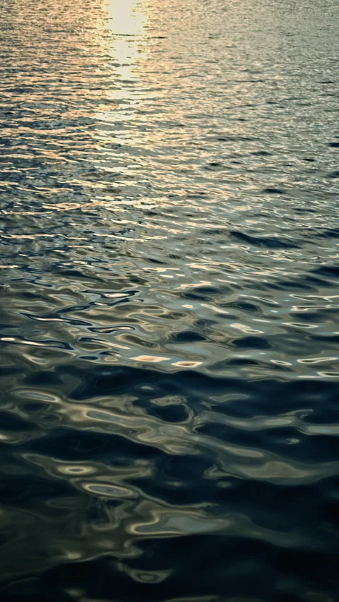 Water ripples reflect light at sunset over a calm body of water near a coast in Stock Footage 340150207
