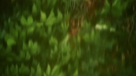 Water ripples on river surface Stock Footage 107841771