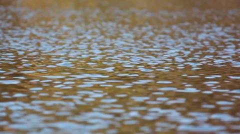 Water Ripples - Seamless Loop 動画素材 33624271