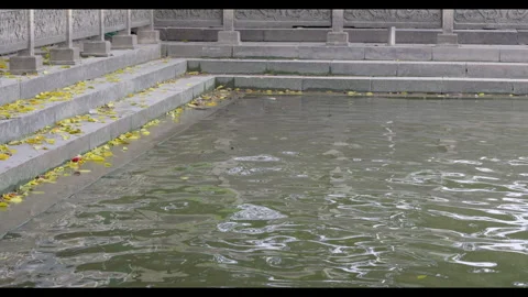Water Ripples in Stone Pool with Fallen Leaves, No People Stock Footage 330692906