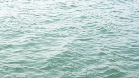 Water ripples on the surface of the lake Stock Footage 237128539