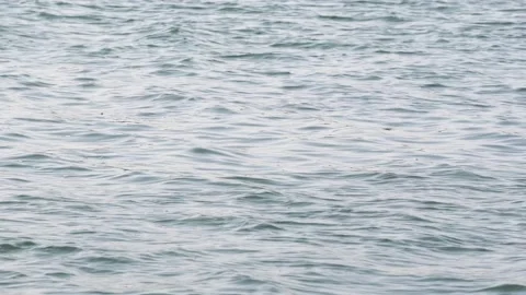 Water ripples on the surface of the lake Video stock 237129360